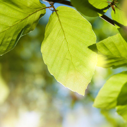 Green Bond der Helaba deutlich überzeichnet