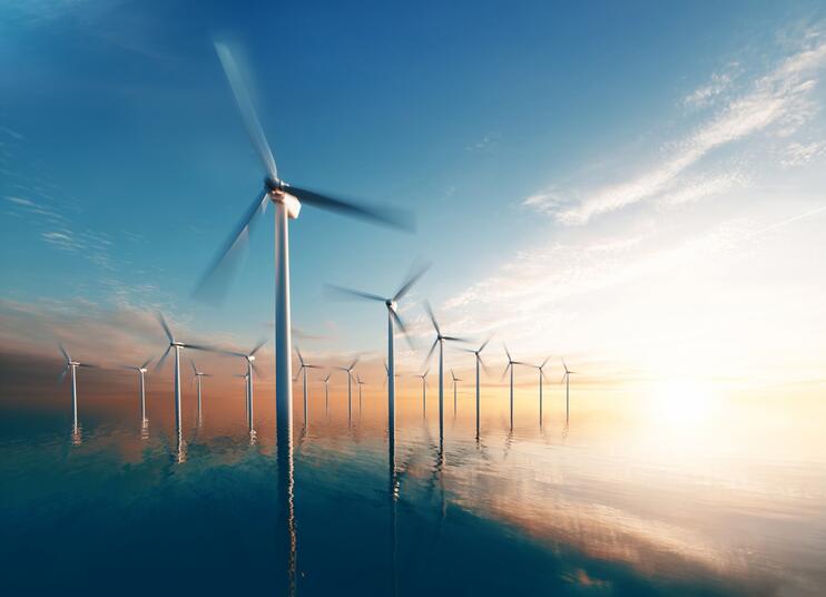 wind park in the dawn