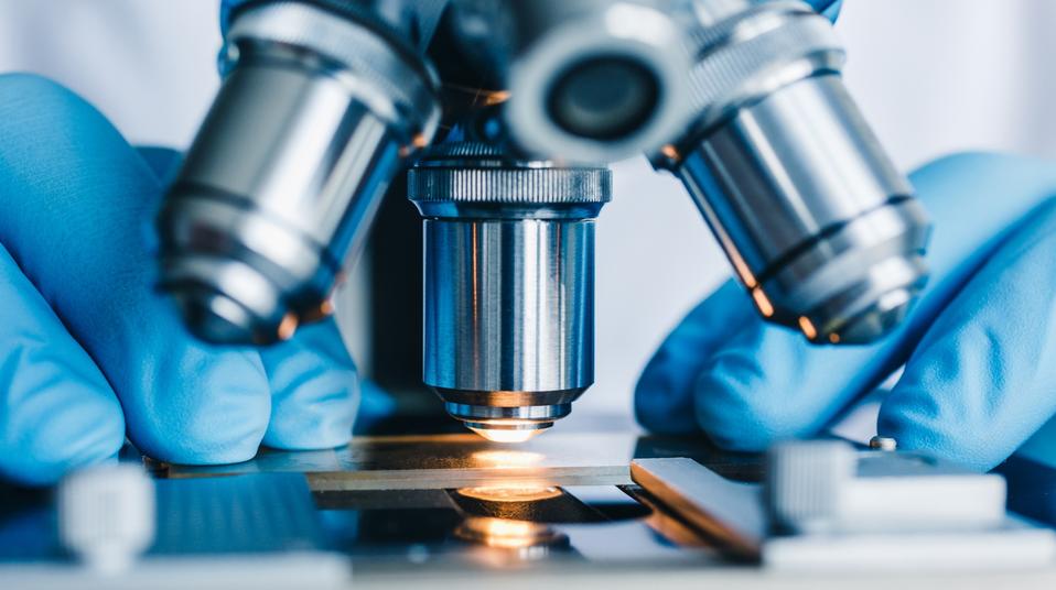Nahaufnahme Elektronenmikroskop - Bildquelle: Konstantin Kolosov via Getty Images