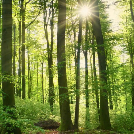 Sustainability at a glance