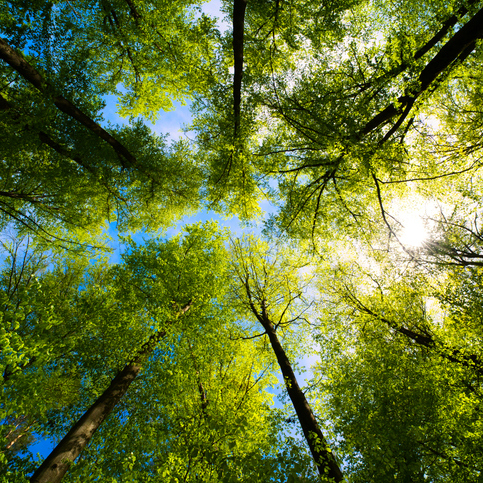 Helaba - News: Erstes Unternehmerforum von Helaba und Thüringer Sparkassen am 21. November in Erfurt - Impulse für Innovation und Zukunft am Wirtschaftsstandort Thüringen