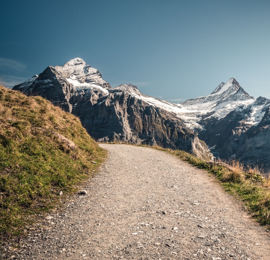 Helaba - News: DekaBank, Helaba and LBBW bookrunners for a new EIB Climate Awareness Bond